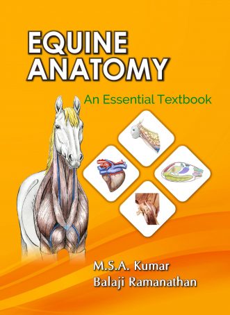 Equine Anatomy Textbook